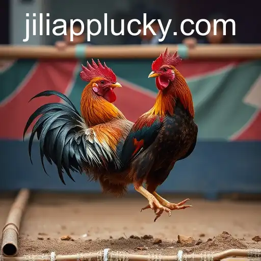 Exploring Sabong Games and the Role of Jili App